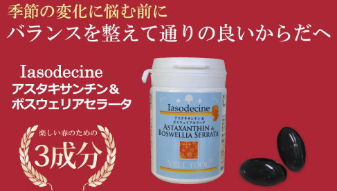 �A�X�^�L�T���`��