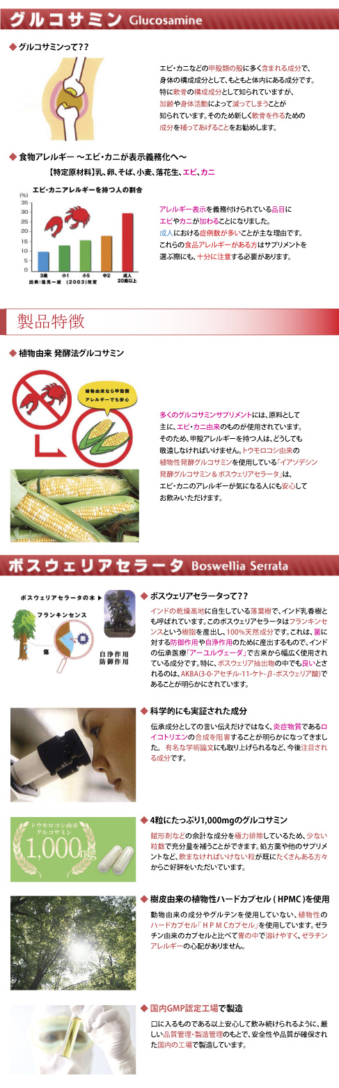 �O���R�T�~��