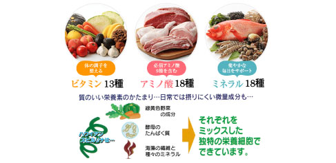 �}�i�X�s�����i����