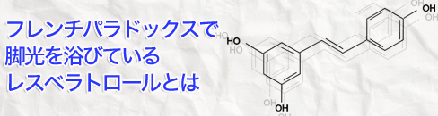 �t�����`�p���h�b�N�X�ŋr���𗁂тĂ��郌�X�x���g���[���Ƃ�